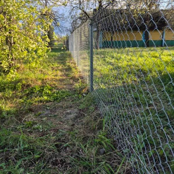 Фото забора сетки рабицы с Z столбами