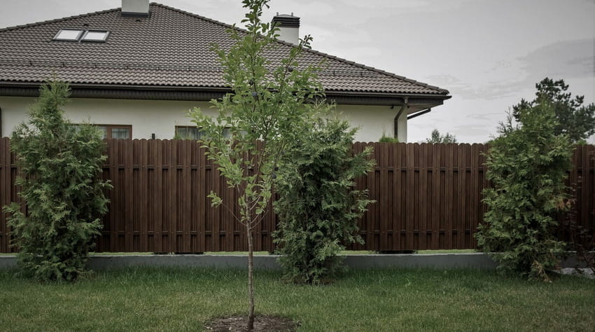 Публикация по выбору расположения металлического штакетника